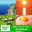 【ふるさと納税】北海道羽幌町の対象施設で使える 楽天トラベルクーポン 寄付額100,000円(クーポン30,000円)【99022】