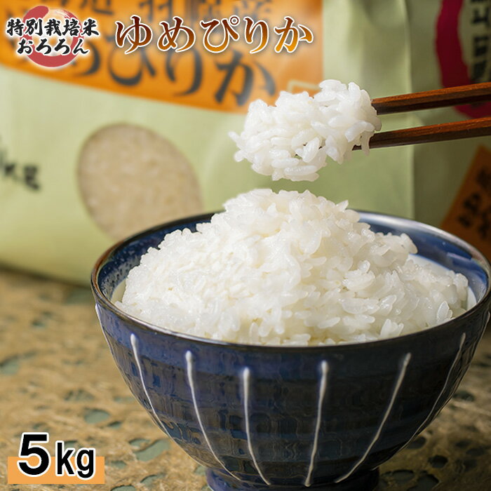 ڤդ뤵Ǽǡۡ2025ǯ̳ƻڻ ̺ Ԥ꤫5kg 5  ̣ ۤɤ褤Ǵ ¿  ̳ƻ 󥹥ȥå ...