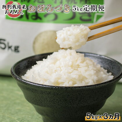 【令和5年産】【定期便：3回】令和5年産　北海道羽幌産特別栽培米おぼろづき 5kg 5キロ 5キロ 5kg お米 米 定期便 定期 おぼろづき 白米 精米 北海道米 北海道 羽幌町 羽幌 ふるさと納税 【08126】