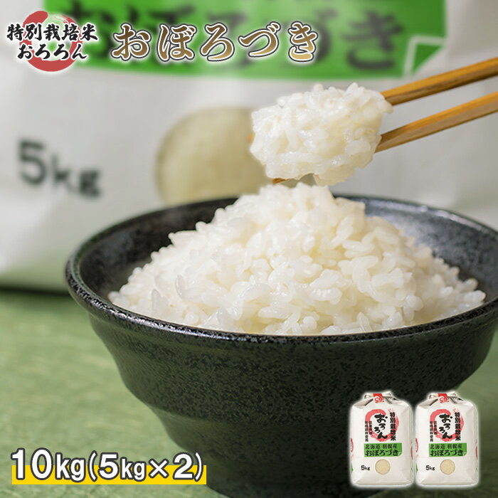 【ふるさと納税】【2025年産】 北海道羽幌産 特別栽培米 おぼろづき10kg (5kg×2セット) | 計10キロ 5キロ 2袋 米 安心 安全 北海道米 ワ...