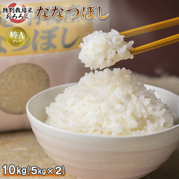 【ふるさと納税】【令和5年産】北海道羽幌産　特別栽培米ななつ