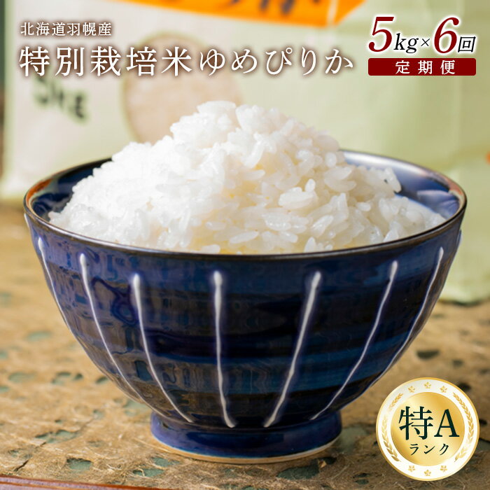 16位! 口コミ数「0件」評価「0」【令和5年産】【定期便：6回】令和5年産　北海道羽幌産特別栽培米ゆめぴりか5kg 5キロ 5キロ 5kg お米 米 定期便 定期 ゆめぴりか･･･ 