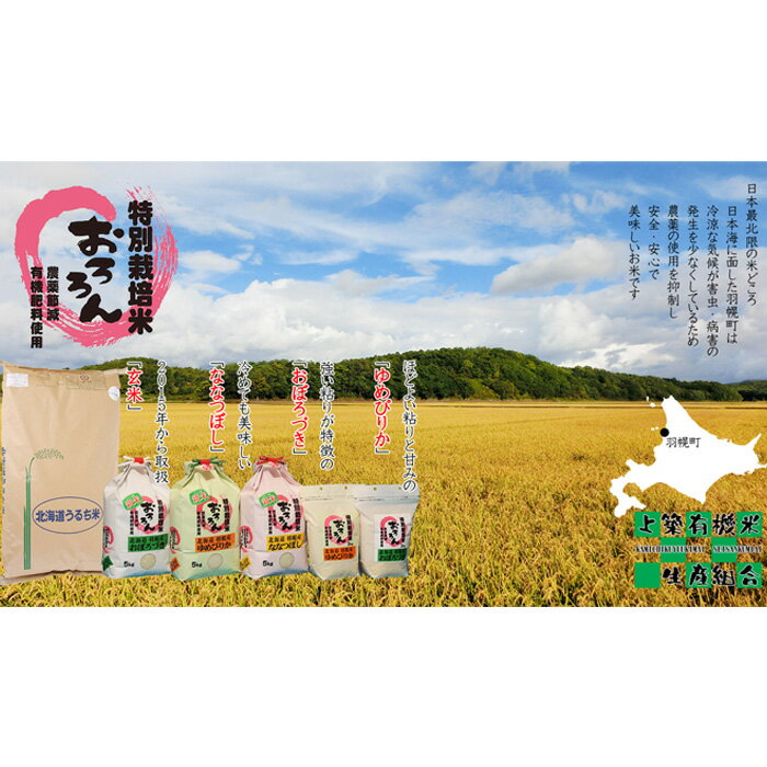 【ふるさと納税】【2025年産】 【定期便：6回】 北海道羽幌産 特別栽培米 ゆめぴりか5kg ｜ 5キロ 計30kg 計30キロ 米 定期 6回 ほどよい粘り 安心 安全 北海道米 ワンストップ ふるさと納税 北海道 羽幌町 羽幌【0811302】