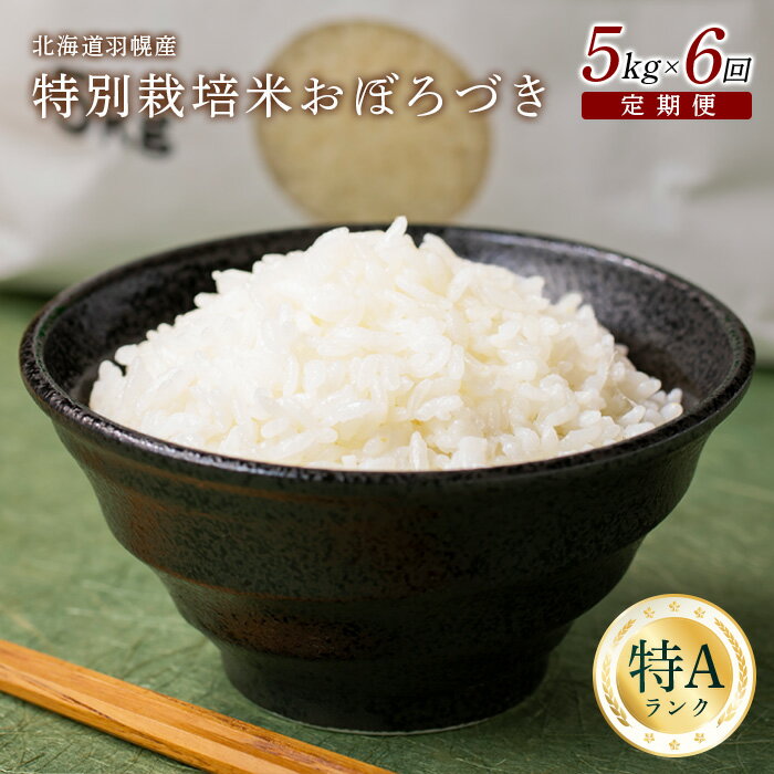 10位! 口コミ数「0件」評価「0」【令和5年産】【定期便：6回】令和5年産　北海道羽幌産特別栽培米おぼろづき5kg5キロ 5キロ 5kg お米 米 定期便 定期 おぼろづき ･･･ 