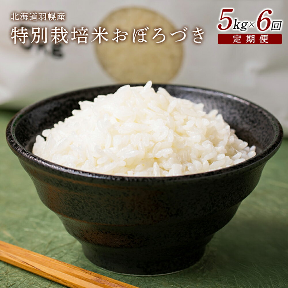 【ふるさと納税】【2025年産】 【定期便:6回】 北海道羽幌産 特別栽培米 おぼろづき5kg | 5キロ 計30kg 計30キロ 米 定期 6回 美味しいお米...