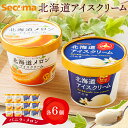 1位! 口コミ数「41件」評価「4.37」Secoma 北海道アイスクリーム (バニラ・メロン各6個セット) アイス 詰め合わせ セット 12個 6個 お取り寄せ スイーツ デザート 北海道 バニラ メロン セコマ ふるさと納税 羽幌 羽幌町・・・