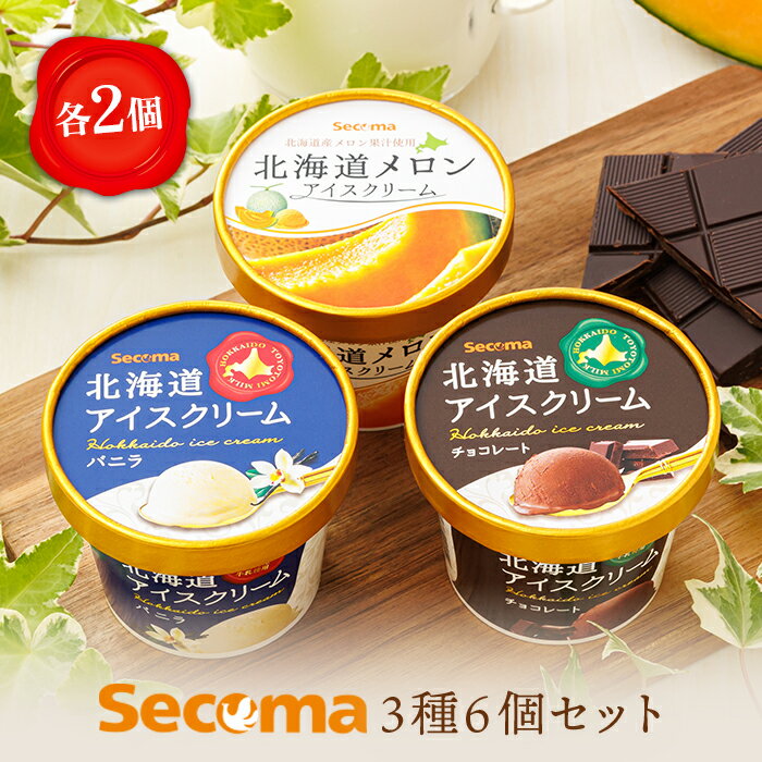 [Secoma]北海道アイスクリーム6個セット 3種×各2個(バニラ・メロン・チョコ) アイス ふるさと納税 北海道 アイス 食べ比べ セット オンライン申請 オンライン バニラ メロン チョコ アイス 羽幌町 羽幌[01106]