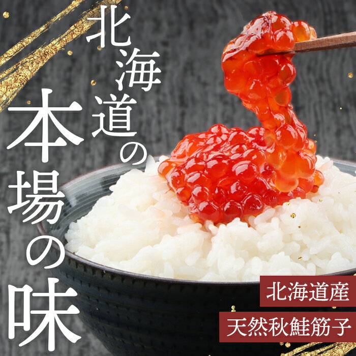 北海道羽幌町の画像3