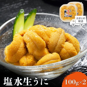 【ふるさと納税】【6月上旬〜8月中旬発送予定】北海道産 塩水ウニ 100g×2 ウニ うに 100g 2パック ミョウバン不使用 人気 旬 新鮮 北海道 羽幌町 羽幌 ふるさと納税【0211802】