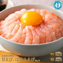 【ふるさと納税】甘えび ぼたんえび セット えび 小分け エビ 海老 甘えび丼 甘エビ 甘海老 ぼたんえび ボタンエビ ぼたん海老 超速リキッド凍結 冷凍 海産...