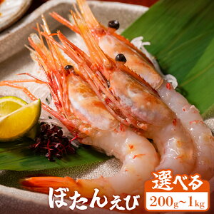 【ふるさと納税】【選べる内容量200g~1kg】超速リキッド凍結でドリップゼロ!北海道羽幌産生鮮ぼたんえび | ぼたんえび 新鮮 海鮮 魚介 甲殻類 海老 エビ 人気 小分け 刺身 丼 贅沢 おつまみ 酒の肴 冷凍 お取り寄せ 北海道 羽幌町【03126】