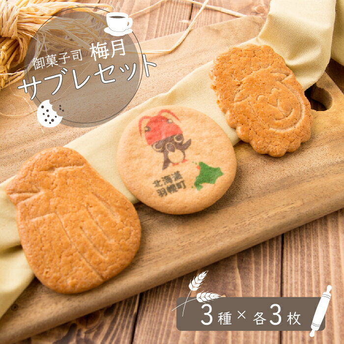 【ふるさと納税】御菓子司梅月 サブレセット (3種×各3枚)サブレ 9枚 3種類 スイーツ 取り寄せ ご当地 お菓子 おやつ グルメ オロ坊 北海道 小分け ク...