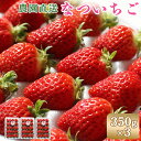 【ふるさと納税】【先行予約:数量限定】北海道羽幌産 なついちご1kg(350g×3)(2025年7月より発送) いちご 苺 イチゴ セット ペチカ フルーツ 3...