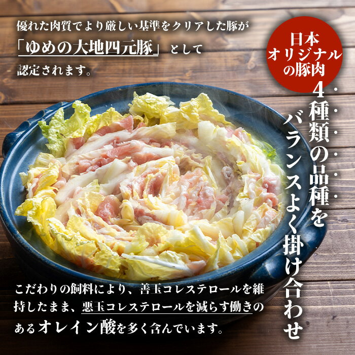 【ふるさと納税】北海道ブランド豚 ゆめの大地 豚バラ スライス 200g×15パック 計3kg オンライン 申請 ふるさと納税 北海道 羽幌 豚肉 豚 肉 お肉 バラ ポーク 冷凍 冷凍肉 国産豚肉 四元豚 国産 焼肉 生姜焼き 豚汁 羽幌【27006】