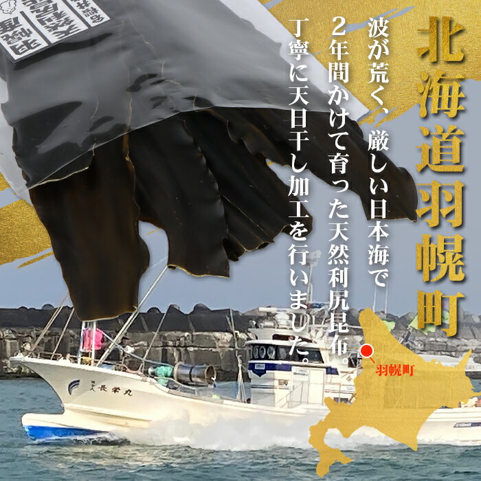 【ふるさと納税】【選べるお届け回数！】北海道羽幌町産 天然利尻昆布（大袋）×100g | 昆布 天然昆布 こんぶ コンブ オンライン 申請 ふるさと納税 北海道 羽幌 利尻昆布 高級昆布 定期便 お出汁 出汁 だし 昆布巻き 煮物 佃煮 北海道産昆布 利尻こんぶ 羽幌町