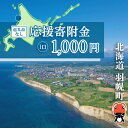 【ふるさと納税】北海道羽幌町への応援寄付 返礼品なし 1口 1,000円【99001】