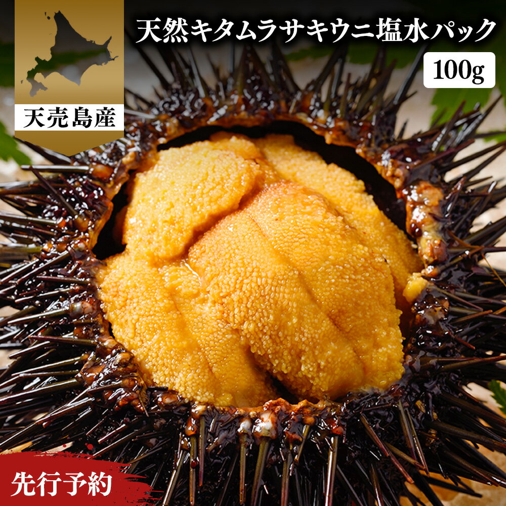 【ふるさと納税】【北海道 天売島産】 ★2026年先行予約★ 天然 キタムラサキうに 塩水パック 100g×1パック | ウニ うに ムラサキウニ 紫うに 天然...