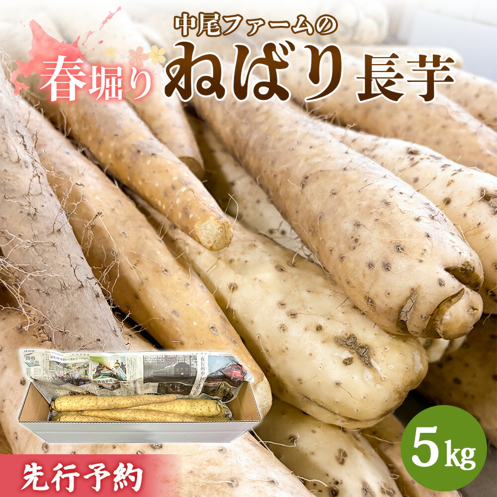 ※先行予約開始 [春堀り]中尾ファームのねばり長芋 5kg | 長芋 国産 北海道産 野菜 取り寄せ ねばり長芋 春掘り 山芋 とろろ すりおろし 粘り 素揚げ 野菜 健康 料理 おかず オンライン申請 マイページ ふるさと納税 北海道 羽幌町 中尾ファーム[34003]