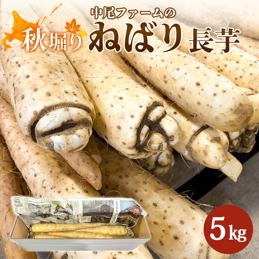 [秋堀り]中尾ファームのねばり 長芋 5kg | 長芋 国産 北海道産 野菜 取り寄せ ねばり長芋 秋掘り 山芋 とろろ すりおろし 粘り 甘い 素揚げ 和食 野菜 食材 健康 料理 おかず オンライン申請 マイページ ふるさと納税 北海道 羽幌町 中尾ファーム[34001]