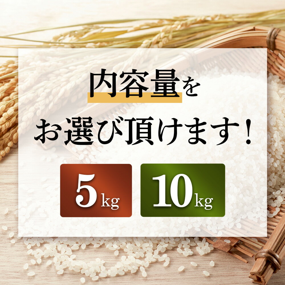 北海道米：ゆきひかり　【ふるさと納税】【2025年産】 選べる内容量！ 北海道産 ゆきひかり《5kg or 10kg》（無化学肥料・農薬不使用）｜ お米 米 精米 安心 安全 北海道米 ゆきひかり 農薬不使用 ご飯 お弁当 北海道 羽幌町 羽幌 ふるさと納税