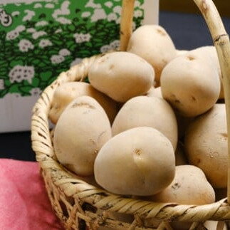 【ふるさと納税】2024年産　遠別産じゃがいも（とうや5kg）ジャガイモ じゃが芋 男爵芋 芋 野菜 やさい ほくほく ホクホク じゃがバター 肉じゃが ポテトフライ 北海道 遠別町のサムネイル