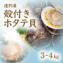 【ふるさと納税】R8年5月下旬より順次発送 遠別産殻付きホタテ貝(約3~4kg)【事前予約】 ホタテ ほたて 帆立 貝 魚介 魚介類 海鮮 海の幸 北海道 遠別町