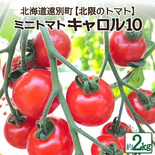 【ふるさと納税】遠別産ミニトマト(赤のみ2kg)【北限のミニトマト】 トマト とまと ミニトマト ミニトマトキャロル 野菜 やさい 緑黄色野菜 夏野菜 甘い 北海道 遠別町 【ふるさと納税】遠別産ミニトマト(赤のみ2kg)【北限のミニトマト】 トマト とまと ミニトマト ミニトマトキャロル 野菜 やさい 緑黄色野菜 夏野菜 甘い 北海道 遠別町