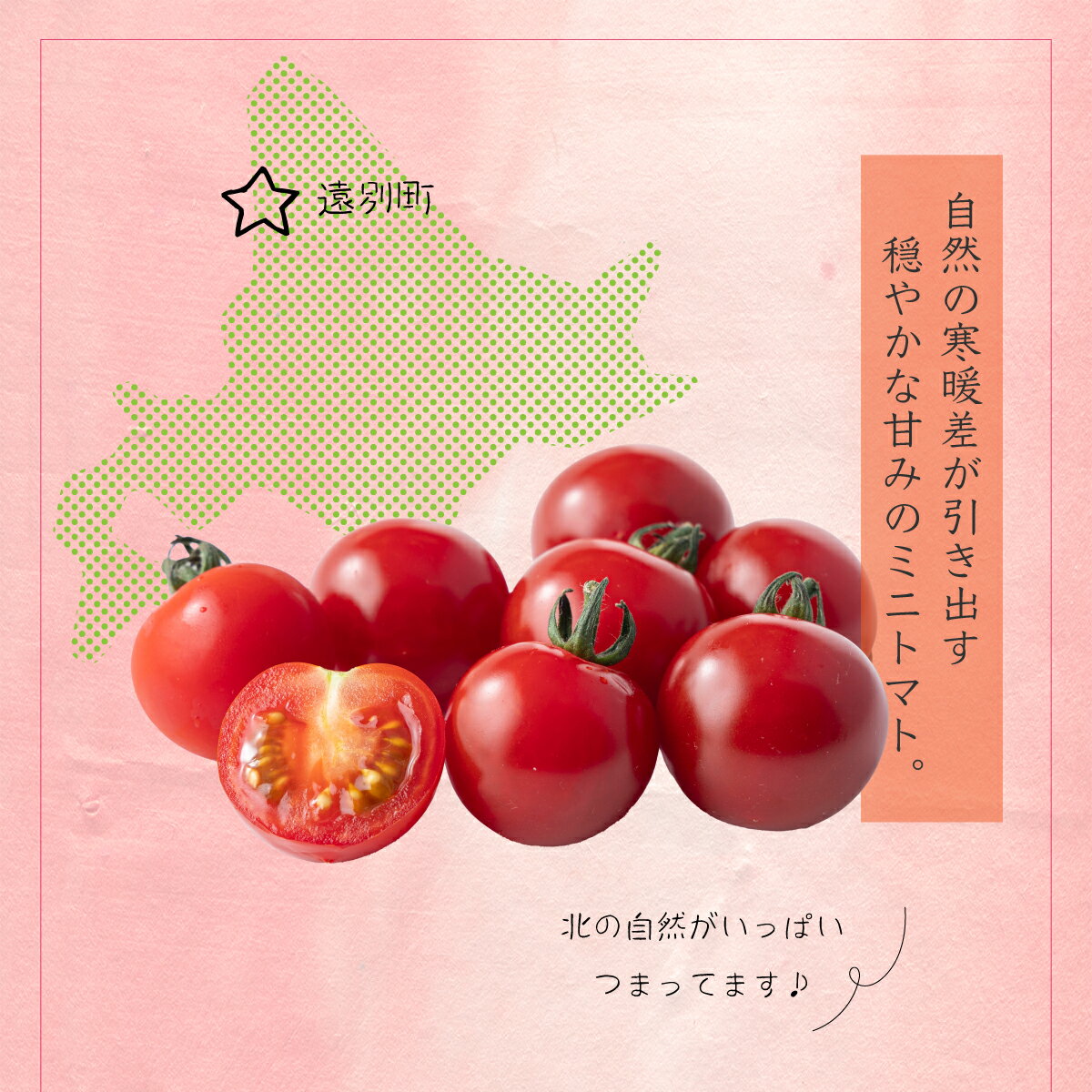 【ふるさと納税】遠別産ミニトマト（赤のみ1kg）【北限のミニトマト】　トマト とまと ミニトマト ミニトマトキャロル 野菜 やさい 緑黄色野菜 夏野菜 甘い 北海道 遠別町