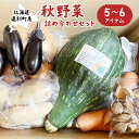 【ふるさと納税】【2025年9月末~順次発送予定】秋野菜詰め合わせセット 野菜 ナス 玉ねぎ カボチャ じゃがいも メークイン ニンニク にんじん 北海道 遠別町