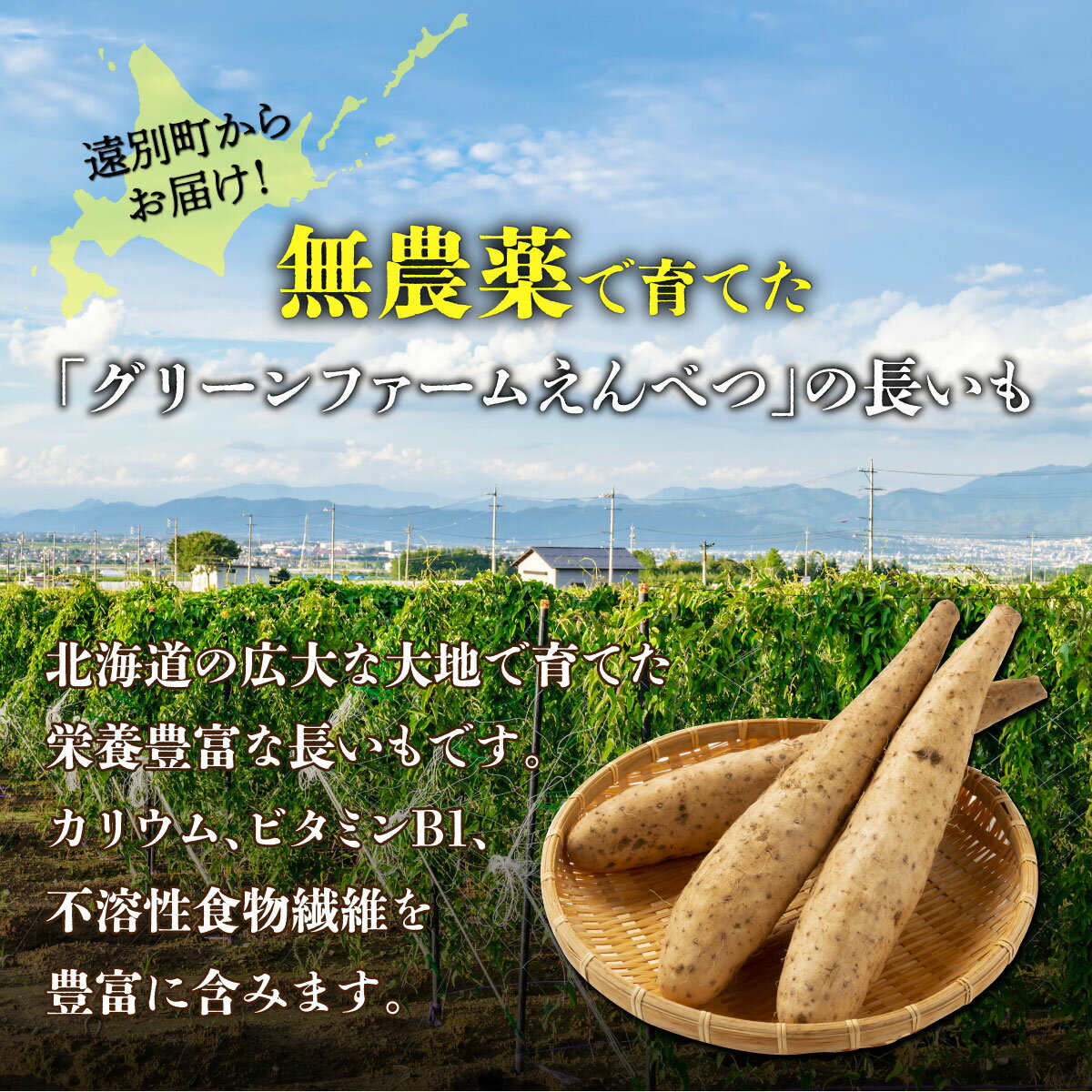 北海道遠別町の画像2