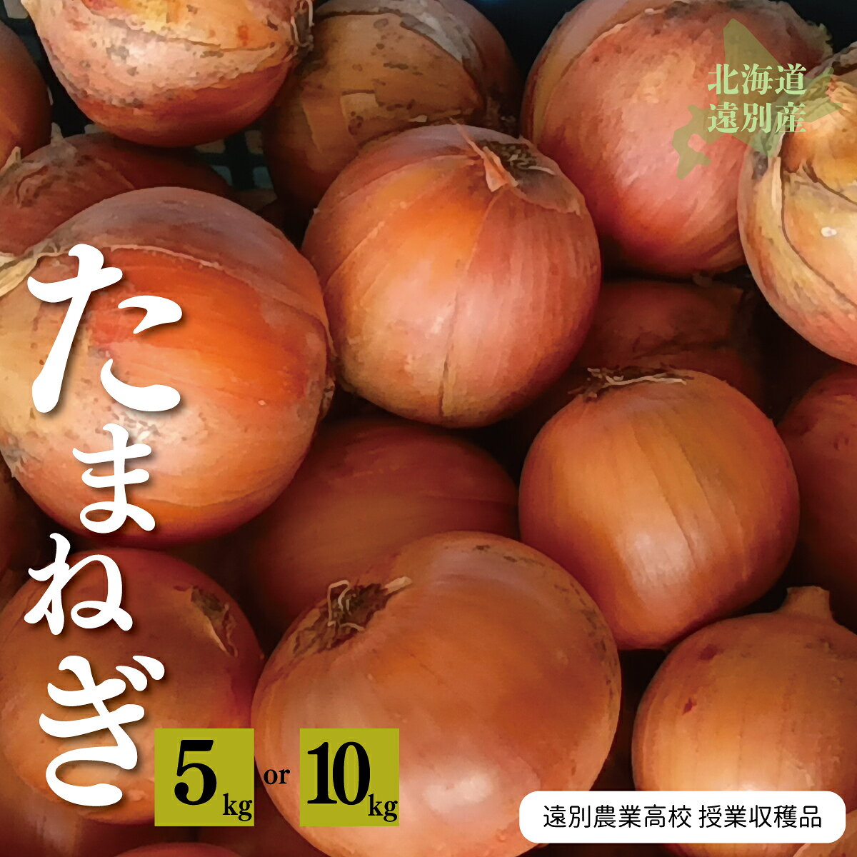 北海道遠別町 遠別農業高校の玉ねぎ〈選べる5〜10kg・M〜2L混合〉｜生徒が育てた授業収穫品