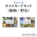 【ふるさと納税】<選べる内容>ポストカードセット里山の宇宙 動物/野鳥【泊和幸】野鳥 自然 動物 鳥 写真 ポストカード 北海道 遠別町