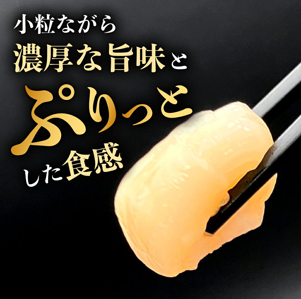 【ふるさと納税】 北海道 遠別町 ホタテ貝柱 訳あり 選べる 500g ～ 1kg ほたて 帆立 貝柱 1キロ 訳アリ 帆立 刺身 ふるさと わけあり 不揃い 冷凍 海鮮 大粒 小分け 人気 刺身 ホタテ丼 規格外 魚介 貝 ランキング 北海道産 サイズ不揃い ホタテ おすすめ 北海道遠別町