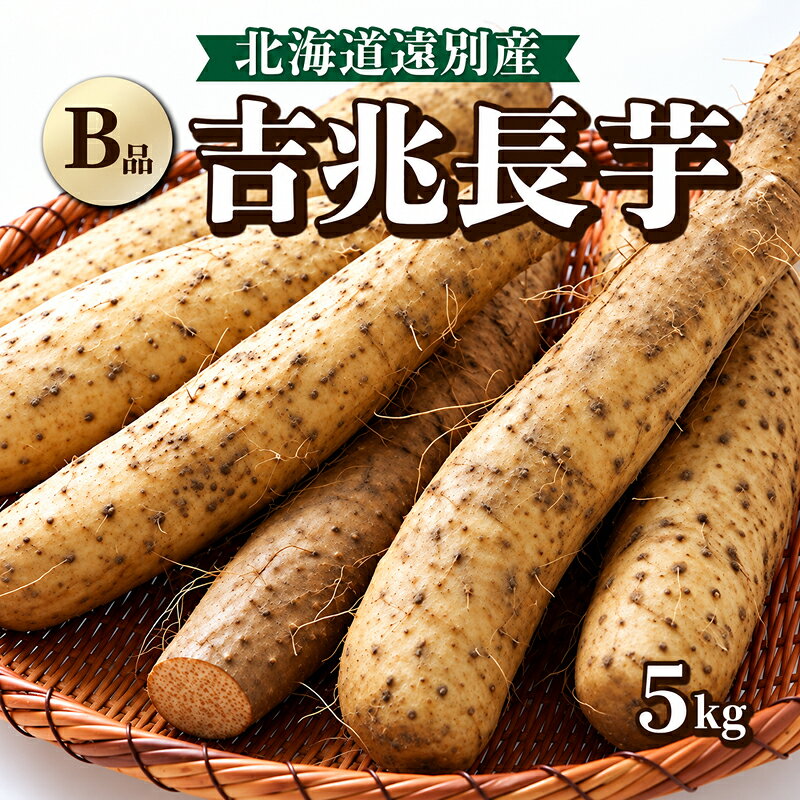 北海道産 吉兆長芋 B品 5kg 長芋 ながいも 長いも 山芋 とろろ 国産 野菜 根菜 大容量 規格外 不揃い 家庭用 新鮮 ねばり 甘い とろろ芋 生食 お好み焼き とろろご飯 煮物 焼き物 天ぷら ご当地 特産品 お取り寄せ グルメ 人気 おすすめ 北海道 遠別町
