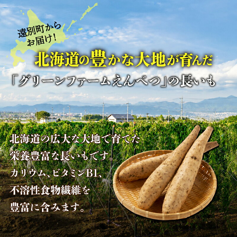 【ふるさと納税】2026年12月上旬よりお届け！ 北海道産 吉兆長芋 AB混合品 3kg 長芋 ながいも 長いも 山芋 とろろ 国産 野菜 根菜 新鮮 ねばり とろろ芋 生食 お好み焼き とろろご飯 煮物 焼き物 ご当地 特産品 お取り寄せ グルメ 人気 おすすめ 北海道 遠別町 北海道遠別町 f014869-embetsu-10000012 北海道遠別町 サンプル画像2
