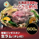 【ふるさと納税】☆特選☆生ラム600g(タレ付) (容量:肉...
