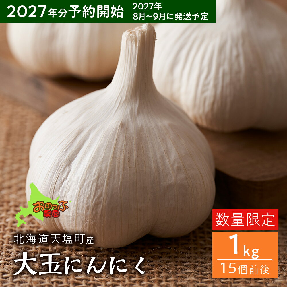 2027年分予約開始★北海道産大玉にんにく1kg《おのっぷ農園》 ふるさと納税 北海道