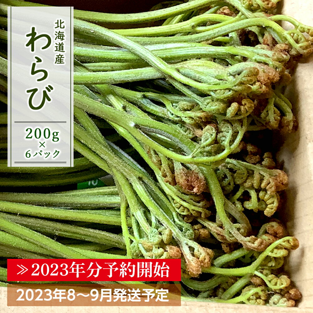 記事番号:33138/アイテムID:368942の画像