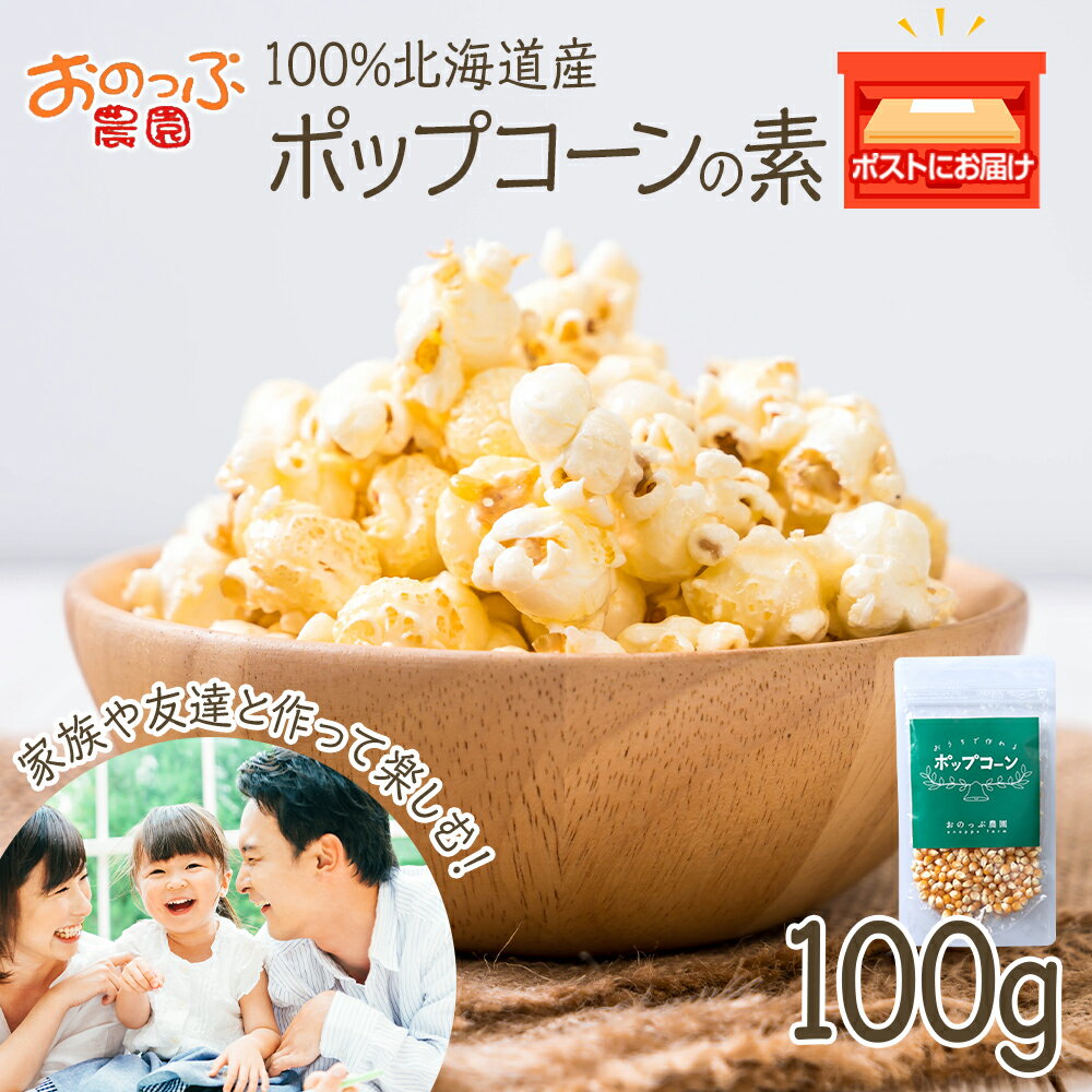 3位! 口コミ数「0件」評価「0」おうちで作れる ポップコーン100g 《おのっぷ農園》 ふるさと納税 北海道