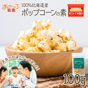 おうちで作れる ポップコーン100g 《おのっぷ農園》 ふるさと納税 北海道