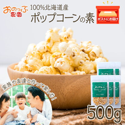 おうちで作れる ポップコーン100g×5パック 《おのっぷ農園》 ふるさと納税 北海道