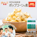 【ふるさと納税】おうちで作れる ポップコーン100g×6パック 《おのっぷ農園》 ふるさと納税 北海道