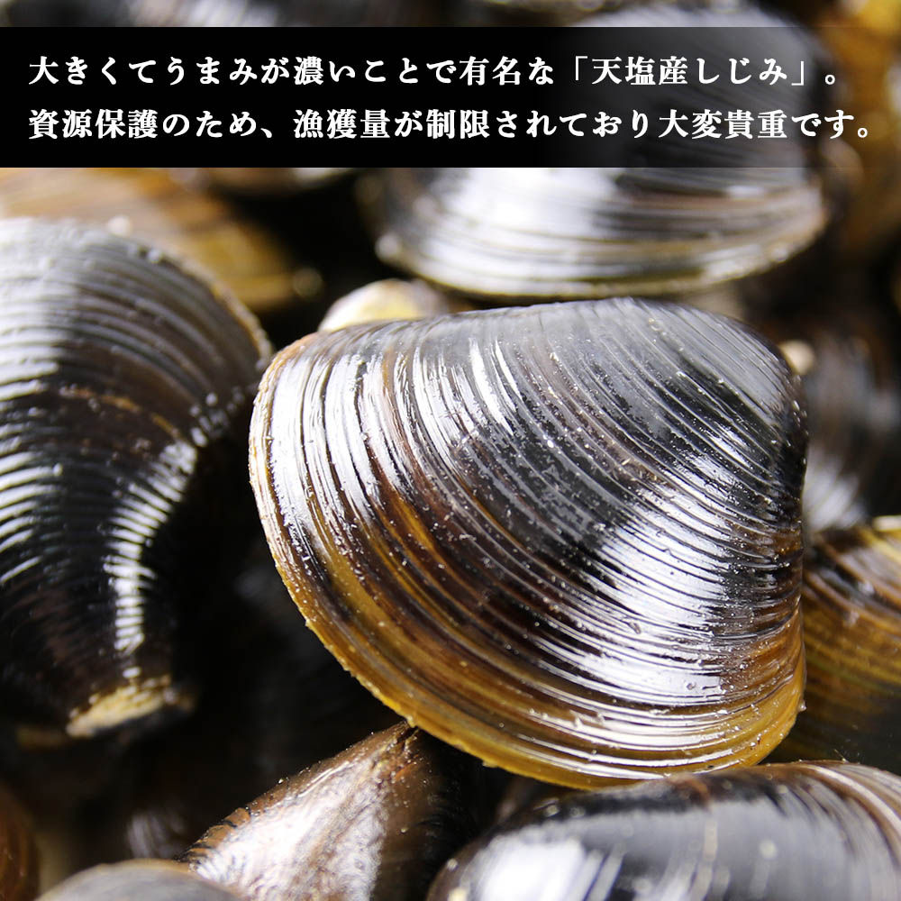 【ふるさと納税】 しじみ 冷凍 天塩町名産ボイル しじみ「使いやすい150gパック」20袋＜北るもい漁業協同組合 天塩支所＞ ふるさと納税 北海道