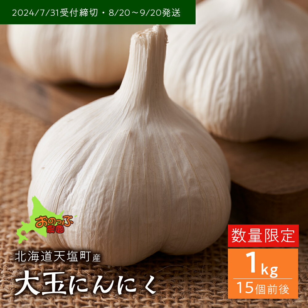 33位! 口コミ数「0件」評価「0」2024年分予約開始★北海道産大玉にんにく1kg《おのっぷ農園》 ふるさと納税 北海道