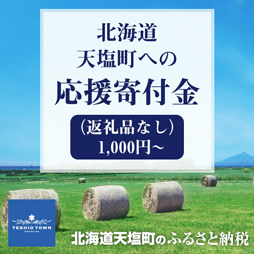 2位! 口コミ数「0件」評価「0」応援寄付金 北海道 天塩町 ※楽天限定※ 【返礼品なし】寄付のみ ふるさと納税 北海道