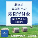 【ふるさと納税】応援寄付金 北海道 天塩町 ※楽天限定※ 【返礼品なし】寄付のみ ふるさと納税 北海道