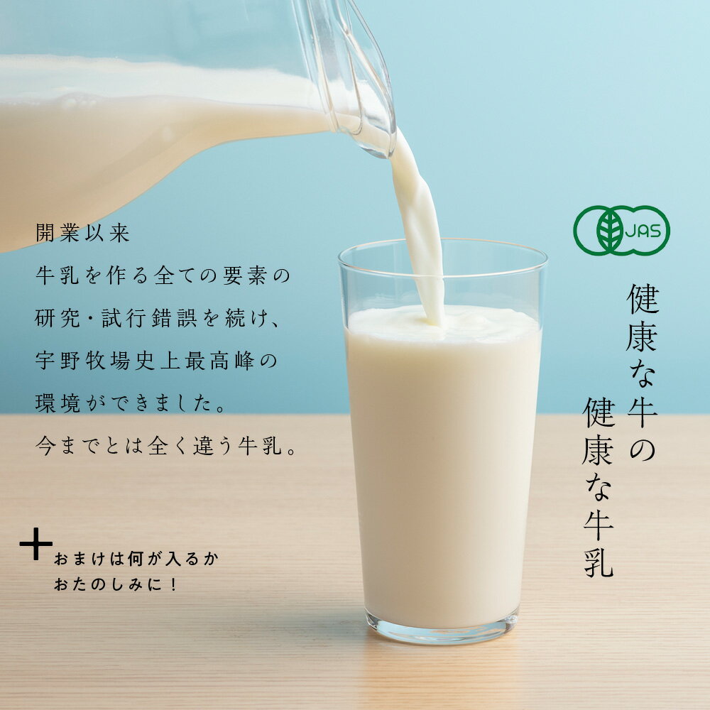 【ふるさと納税】 【定期便 3ヶ月】 最高峰の牛乳 2本(900ml×2本) お楽しみ おまけ付き ふるさと納税 北海道