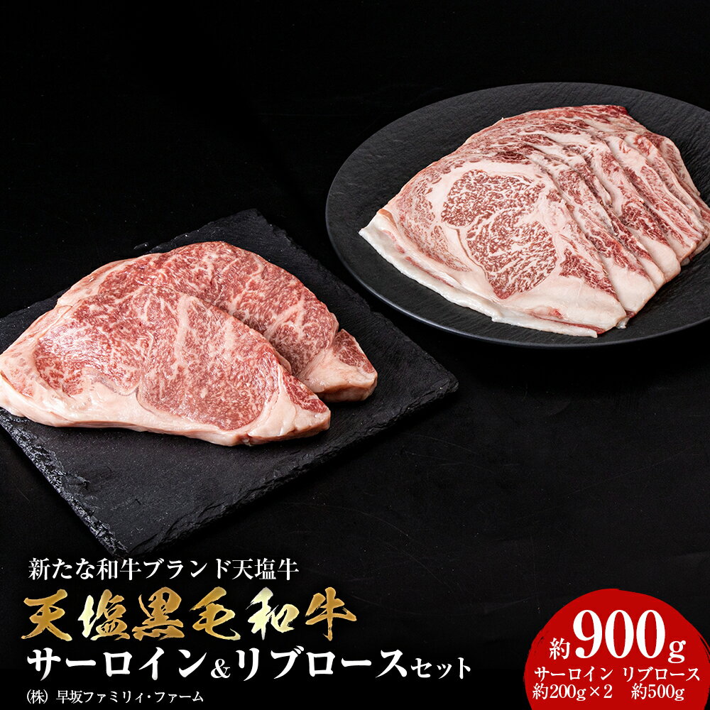 黒毛和牛 天塩和牛 サーロイン & リブロース セット ＜早坂ファーム＞肉 焼肉 牛肉 ステーキ 北海道産 国産