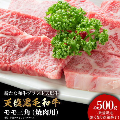 黒毛和牛 モモ三角（焼肉用） 500g 牛肉 三角バラ 希少部位 貴重 国産 北海道産