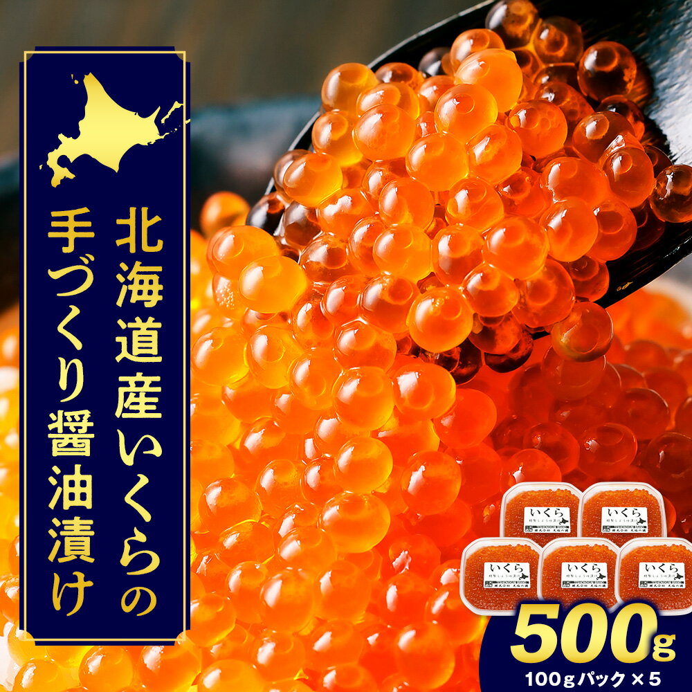 49位! 口コミ数「4件」評価「4」イクラ いくら 鮭 小分け 北海道産 国産 いくらの醤油漬け 500g 天塩の國ブランド ふるさと納税 北海道 夏ギフト おせち